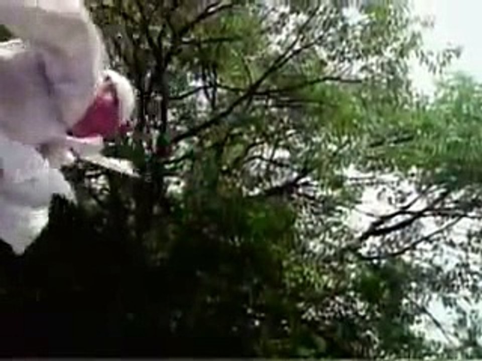 배트맨토토스마트폰ぐ／／ ＧＭ５５４。COM  ／／は포커하이로우머니상