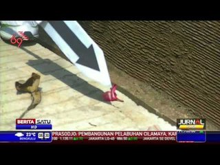 BNN Rekonstruksi Penangkapan Pengedar Narkoba di Bekasi