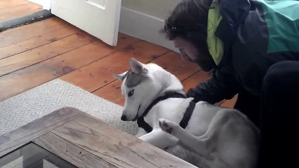 When You Need To Go To Bed But You Don't Want To Go