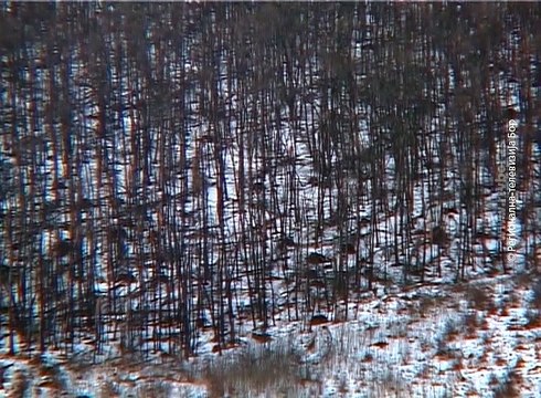 Istočna Srbija bez spasilačkih akcija, 13. januar 2017. (RTV Bor)