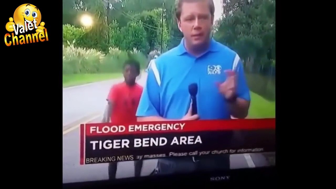 ЛУЧШИЕ ПРИКОЛЫ 2016 Ноябрь ► Лучшая Подборка Приколов #156