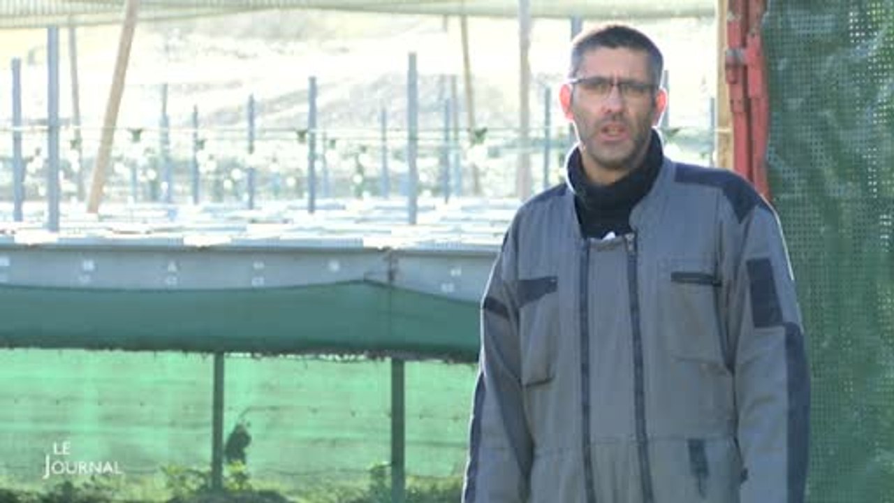 Grippe aviaire : Vigilance renforcée (Vendée)