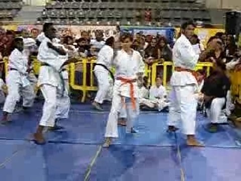 Nihon Taï Jitsu Démo Kata