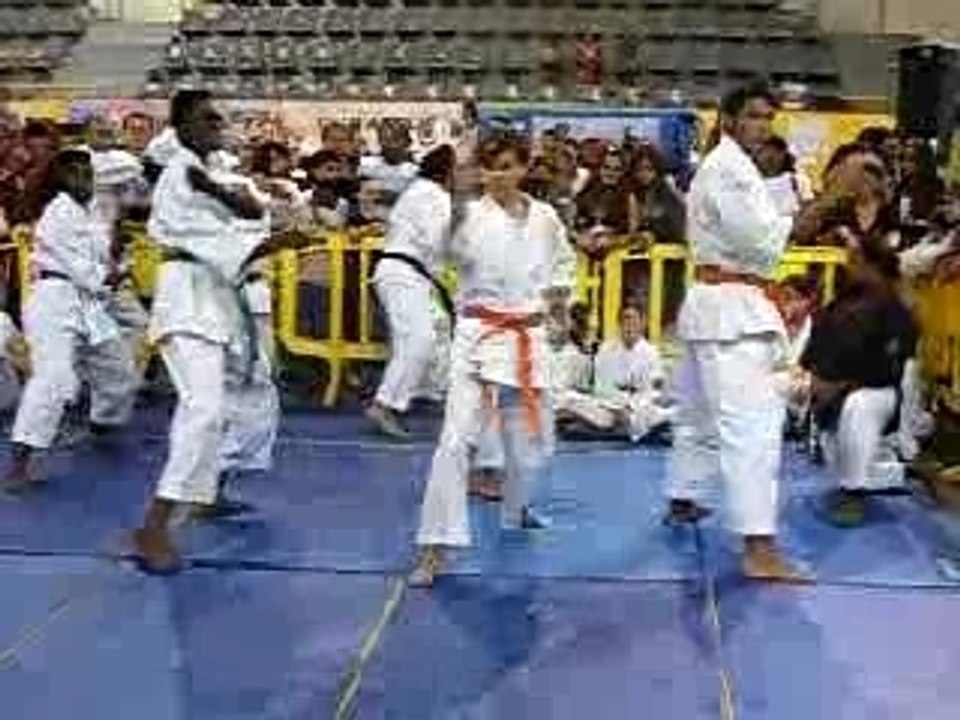 Nihon Taï Jitsu Démo Kata