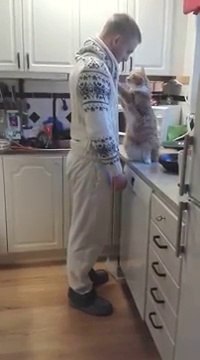 Aller fais moi un calin avant de partir... Adorable le chat