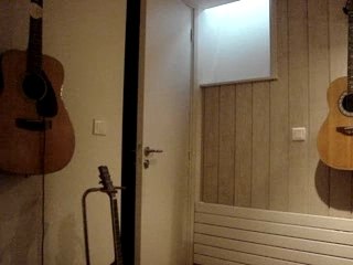 beatles guitar