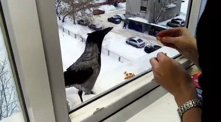 Sorra nuk kishte nevoj per ushqim ajo donte vetem nje luge