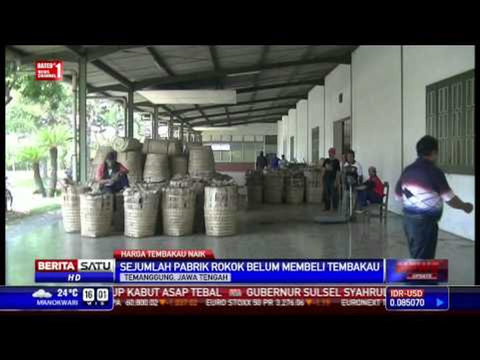 Harga Tembakau Naik