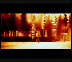 The Arrival of Imam Mahdi