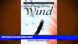 BEST PDF  In the Teeth of the Wind: A Study of Power and How to Fight It FOR IPAD