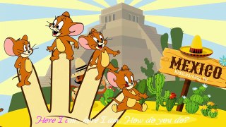 Finger Family With Tom And Jerry 2017 - Nursery Rhymes Lyrics For Kids