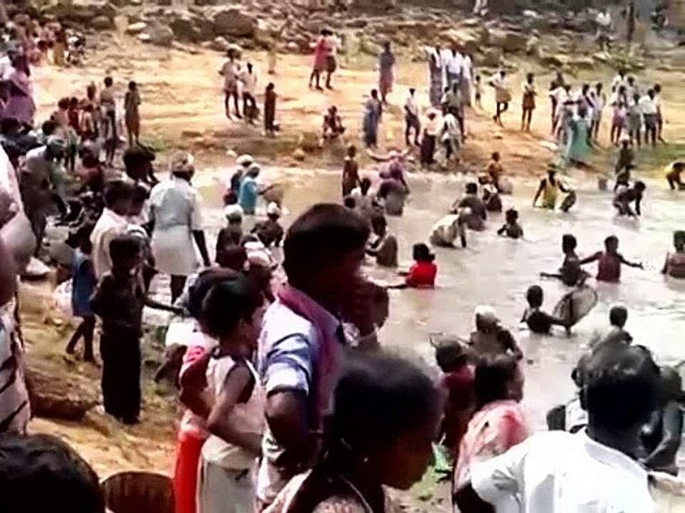 MENANGKAP IKAN SECARA TRADISIONAL DI INDIA