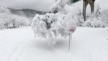 Drone Video Captures Snow Day in Portland