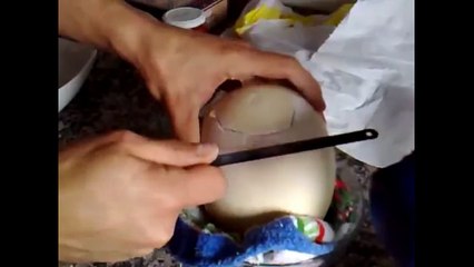 LA YEMA DE UNA AVESTRUZ SE HAN PREGUNTADO DE QUE TAMAÑO ES