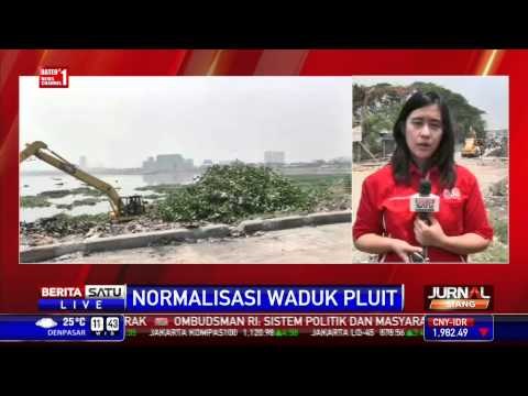 Pemprov DKI Jakarta Lanjutkan Normalisasi Waduk Pluit