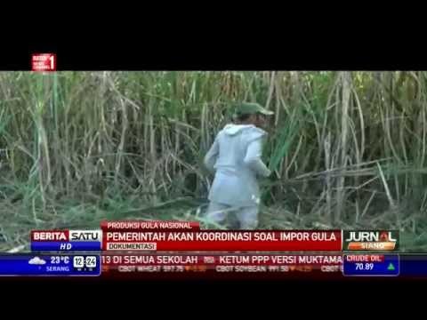 AGRI Keluhkan Pengurangan Impor Bahan Baku Gula Mentah