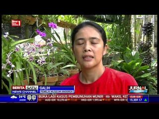 Ada Museum Anggrek di Banyuwangi