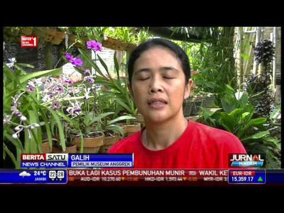 Ada Museum Anggrek di Banyuwangi