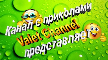 ✔ Смешные коты и собаки / Приколы с животными #172