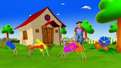 Bingo Song - 3D Animation English Nursery rhyme song for children with lyrics