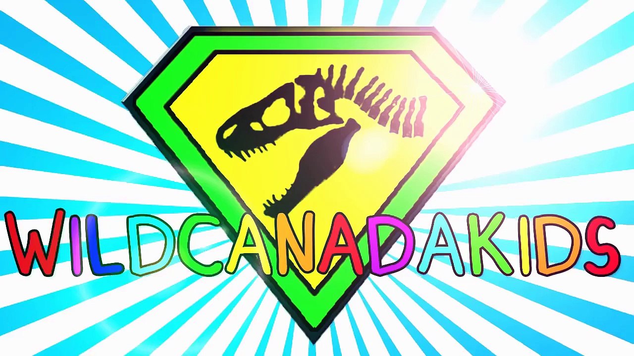 Animal Puzzles for Kids! Puzzles for Children! Learning Games for Kids! Animal Cartoon