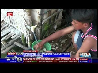 Nikmatnya Menyantap Kepiting Kriuk