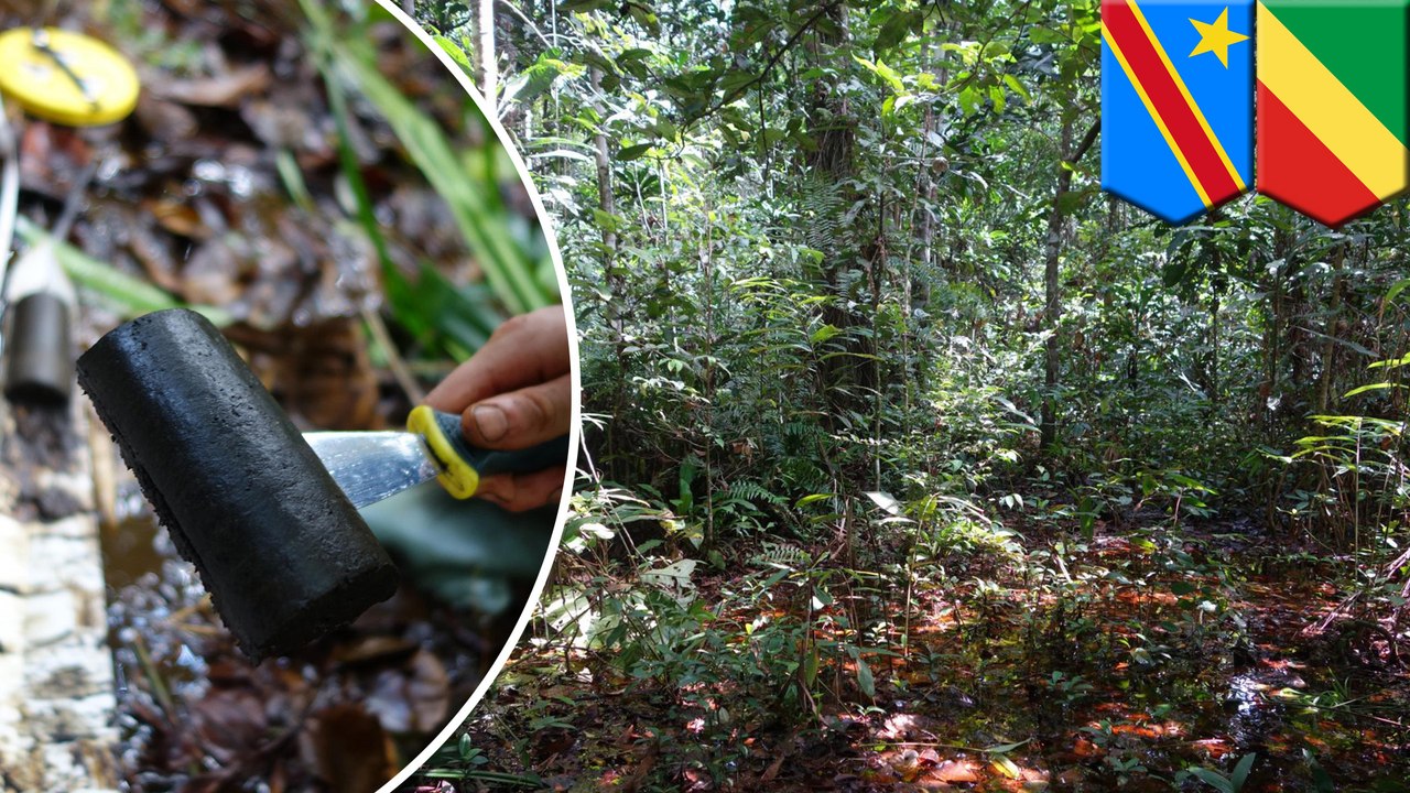 World’s largest peatland with vast carbon sink found in Congo - TomoNews