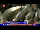 Harga Ikan di Pasar Tradisional Pemalang Terus Naik