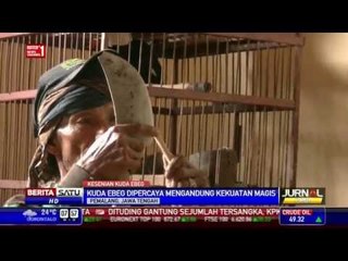 Ribuan Kuda Ebeg Meriahkan HUT ke-440 Kota Pemalang