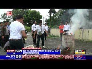 Polresta Tangerang Musnahkan 199 Kilogram Ganja Sitaan