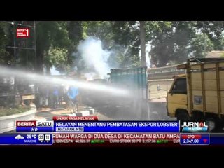 Nelayan Lombok Protes Pembatasan Ekspor Lobster