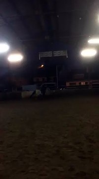 Essai poney connemara Play boy