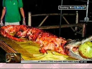 24 Oras (10-11-11) Lechong buwaya sa Davao