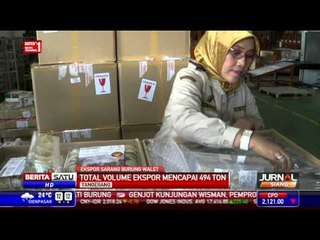 Sarang Walet Indonesia Memenuhi Persyaratan Impor Tiongkok