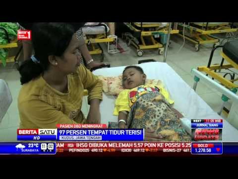 97 Persen Pasien Demam Berdarah Penuhi RSUD Kudus