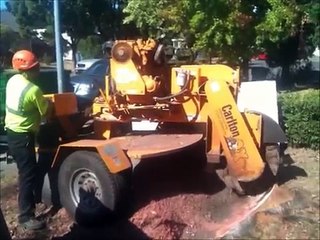 healdsburg stump grinding