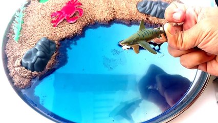 #Learn Types Of SHARKS in WaterMINI Beach-Cute Mini SHARK TOYS-Sea Animals  Kids Z Fun