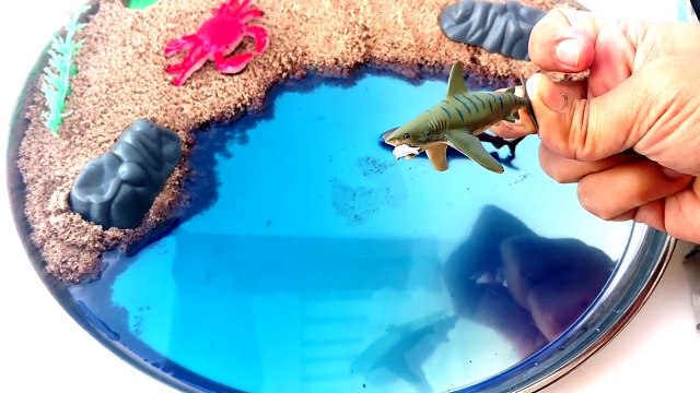 #Learn Types Of SHARKS in WaterMINI Beach-Cute Mini SHARK TOYS-Sea Animals Kids Z Fun