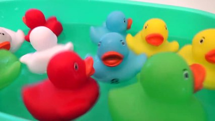 Learn Colours and Numbers with Bath Ducks Fun for Kids