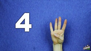 Sign Language Numbers 1 thru 10   Learn to Sign (ALS)   Kids and Children's Learning