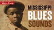 Mississippi Blues Sounds - Born In the Delta