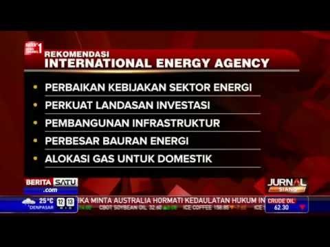 Pengembangan Energi Terbarukan di Indonesia Terkendala
