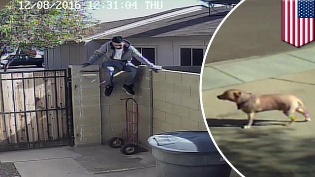 Burglars outwit guard dog with treats before ransacking suburban home