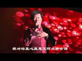 [羅賓] 海麗海麗 -- 羅賓Robin 38你儂我儂演唱會 2015 (Offcial Concert Video)