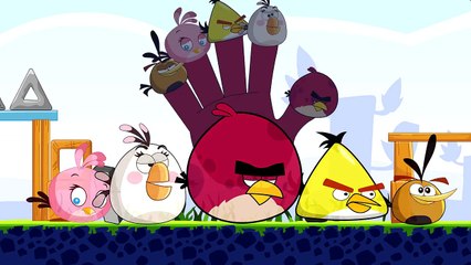 Angry Bird Finger Family Song - Angry Bird Finger Family Rhyme