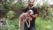 Update on a rescued stray dog with skin diseases - Khanoom Kuchik