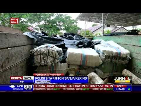 Polisi Sita 4,8 Ton Ganja yang Ditutupi Kayu Bakar