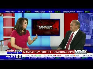 Mandatory Biofuel Dongkrak CPO