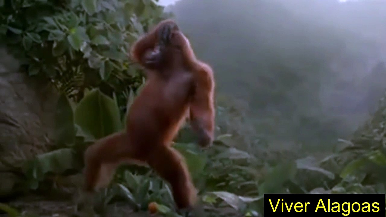 Hoje é sexta-feira, kkkkkkkkkkk