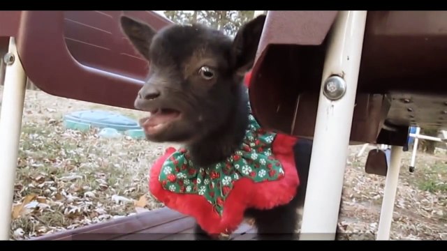 ПРЕКОЛЫ 2015 ПРИКОЛЫ январь! Смешные видео приколы 2015! Ржач!